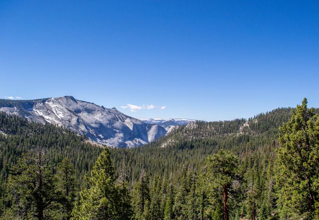 Stunning panoramic view featuring snow-capped mountains and lush pine forest under a clear blue sky. Ideal for use in promotional material for travel and tourism, nature documentaries, outdoor adventure publications, and environmental conservation campaigns.