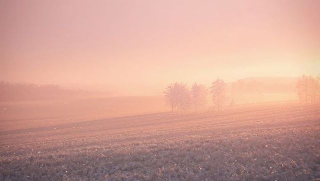 Sunrise light bathing frosted field with small grove in misty pastoral ethereal glow