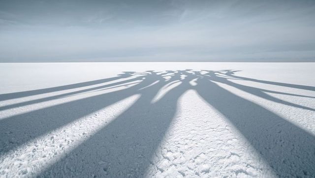 Long human shadows stretching across cracked white saltflat under pale blue sky minimalism