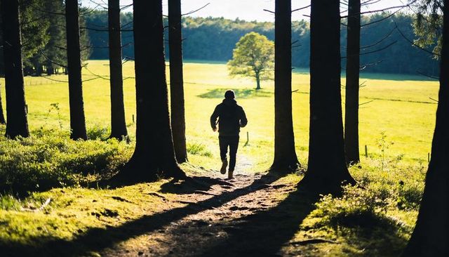Silhouetted hiker walking from dark fir grove into sunlit meadow, solitude and exploration