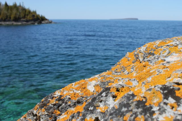 Close-up of vibrant orange lichen growing on rock with tranquil blue sea in background and distant island visible. Suitable for depicting natural beauty, geological features, close-up textures in nature, coastal and seaside themes, wilderness scenery, environmental care, and scientific journals.