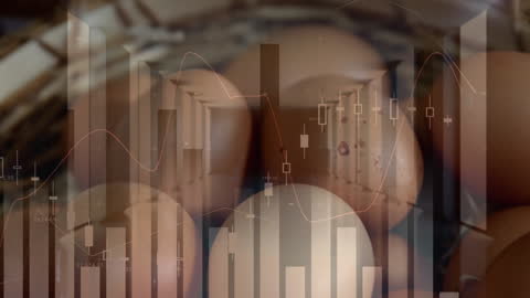 Digital and Financial Data Animation Over Eggs