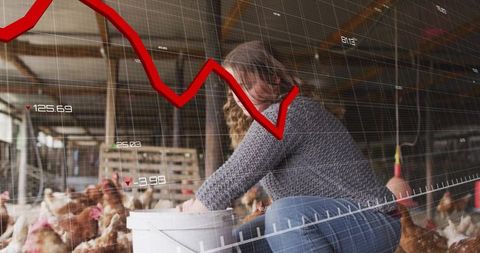 Farm worker tending hens amid declining red market graph overlay, poultry economics crisis