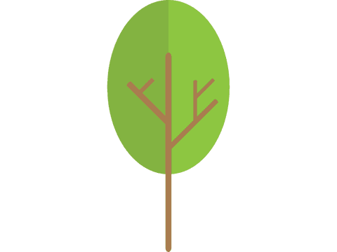 minimalist green tree on transparent background - Download Free Stock Videos Pikwizard.com