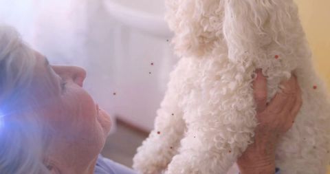 Happy Senior Enjoying Bond with Fluffy White Companion Dog