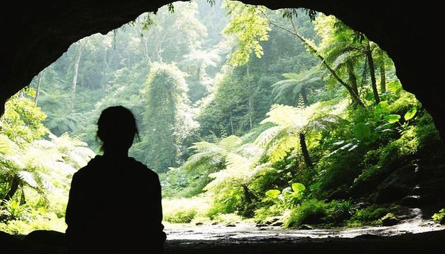 Silhouette observing sunlit tree ferns from cave entrance in lush rainforest valley