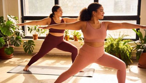 Two Women Practicing Warrior II Yoga in Sunlit Home Studio Surrounded by Plants