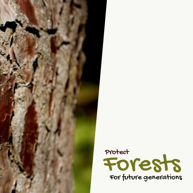 Digital composite image of protect forests for future generations with tree trunk, copy space. Raise awareness, responsible forest management, environment conservation, fsc friday.