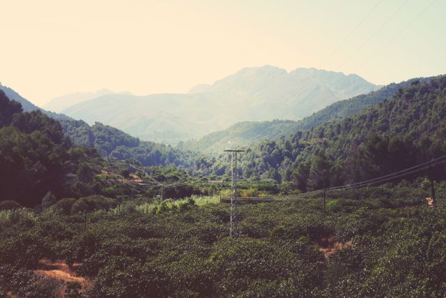 Depicts beautiful mountain range seen from dense forest with power lines slicing through the terrain. Perfect for nature, outdoor adventure outreaches, environmental awareness visuals, or landscape photography enthusiasts.