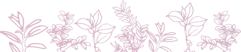 Transparent Pink Floral Outline Background on Clear Layer - Download Free Stock Videos Pikwizard.com