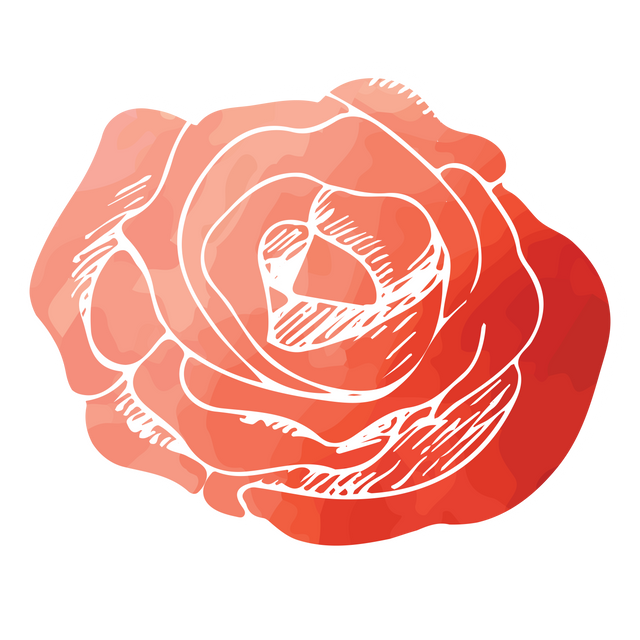 Digital Red Rose Illustration on Transparent Background - Download Free Stock Videos Pikwizard.com