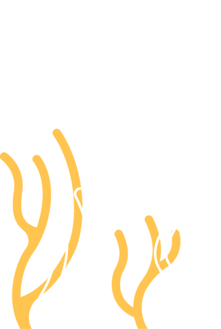 Abstract wavy lines emulating seaweed with transparent background