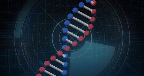 Dna double helix hud visualization with neon blue and red spheres, 3d biotech concept