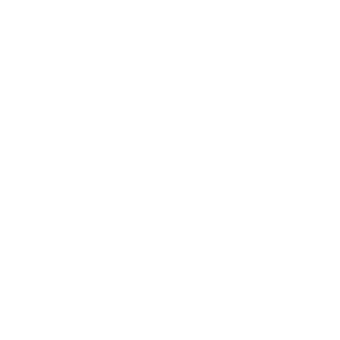 white decorative bow on transparent background for gifts - Download Free Stock Videos Pikwizard.com