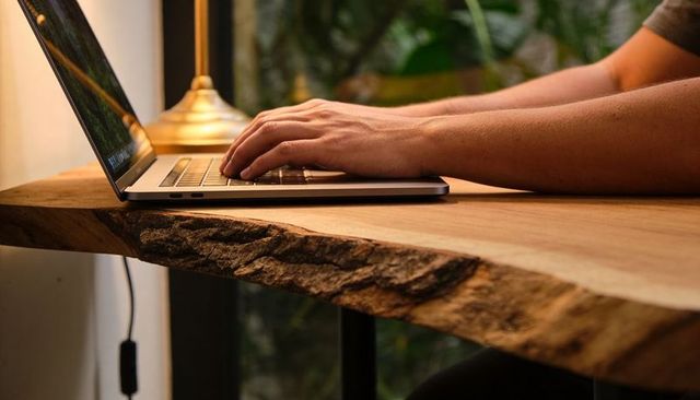 Typing on laptop at live-edge wood desk with brass lamp and indoor greenery home office