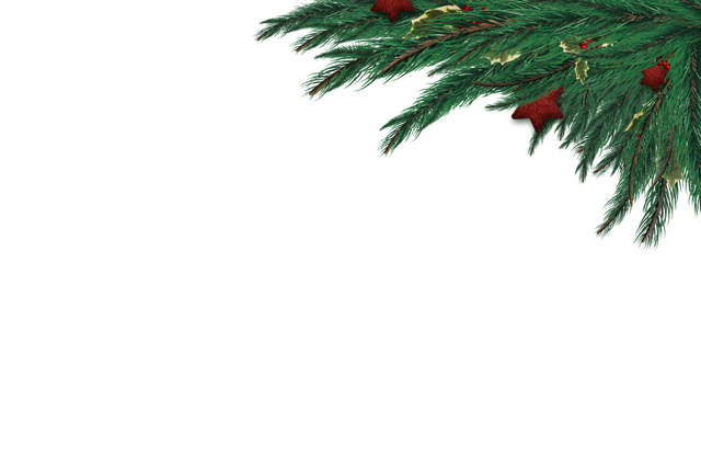 Transparent festive fir branch decorated with red baubles - Download Free Stock Videos Pikwizard.com