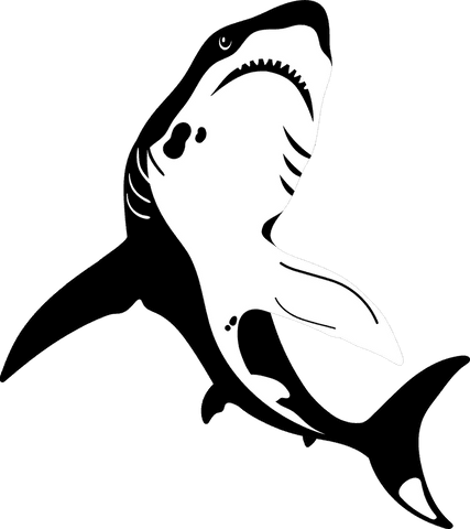 Black and white stylized shark illustration on transparent background