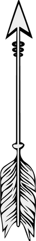 vector arrow with feather on transparent canvas for minimalist design - Download Free Stock Videos Pikwizard.com