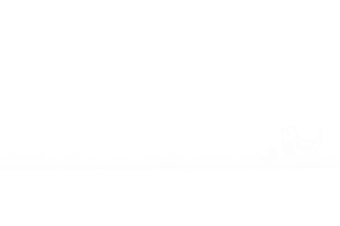 transparent vector tree skyline with forest elements - Download Free Stock Videos Pikwizard.com