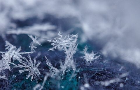 Close-up macro of intricate snowflakes amidst soft fur background