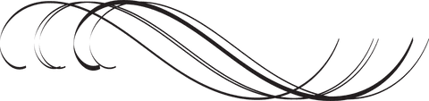 Elegant Black Abstract Lines on Transparent Background - Download Free Stock Videos Pikwizard.com