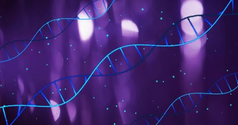 DNA Strands on Purple Background Highlighting Genetic Research - Download Free Stock Images Pikwizard.com
