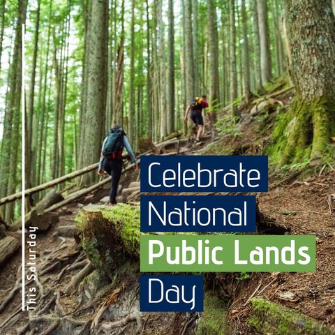 Diverse Adventurers Trekking in Lush Forest for National Public Lands Day - Download Free Stock Templates Pikwizard.com
