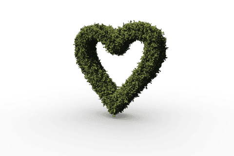heart shaped topiary grass on transparent background for romantic and nature themes - Download Free Stock Videos Pikwizard.com