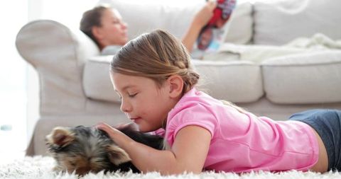 Girl Relaxing With Yorkshire Terrier in Bright Living Room