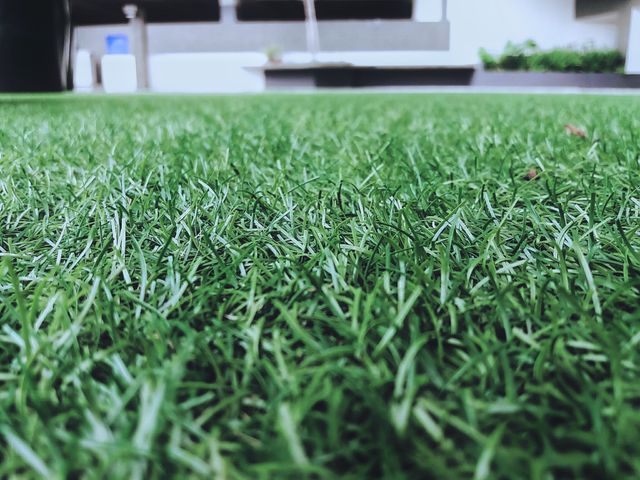 Close-up view of lush green grass in a modern urban garden, showcasing well-maintained lawn and outdoor environment. Ideal for use in articles or projects related to landscaping, urban gardening, environmental care, outdoor aesthetics, and sustainable living.