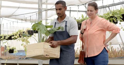 Nursery Worker Assisting Customer in Greenhouse Environment