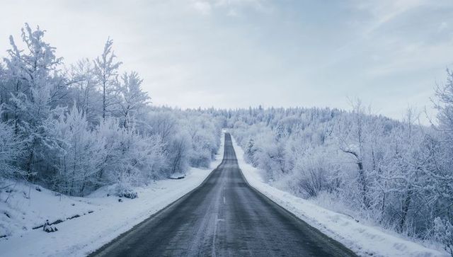 Leading winter highway through frosted forests and snowbanks, remote scenic road