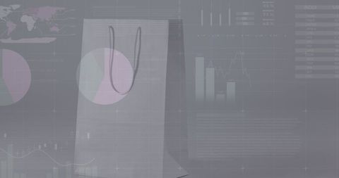Shopping Bag with Financial Graphs and Data Visualization