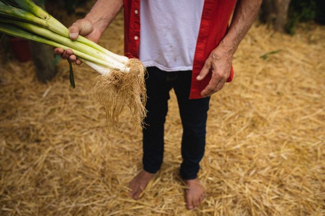Mid section of a man holding onions in the farm - Download Free Stock Photos Pikwizard.com