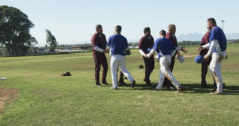 Diverse Male Baseball Players Shaking Hands in Outdoor Setting