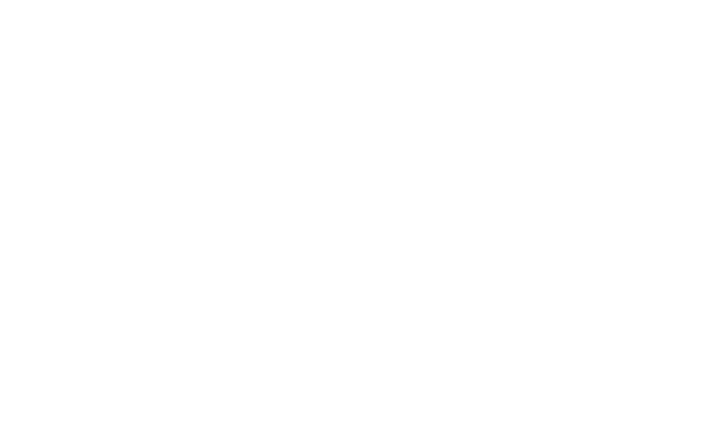 Two Fencers in Combat Silhouette on Transparent Background - Download Free Stock Videos Pikwizard.com