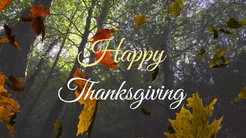 Happy Thanksgiving Leaves Fall Over Forest Background