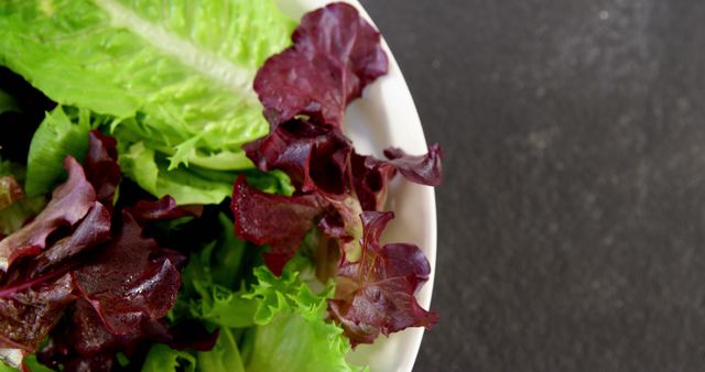 Close-up of lettuce in bowl on concrete