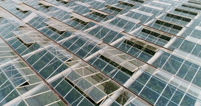 Aerial View of Modern Greenhouse with Large Glass Panels - Download Free Stock Images Pikwizard.com