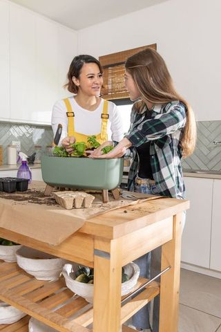Two women planting herbs on kitchen island in sunlit modern kitchen with wooden workbench