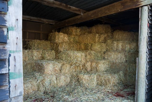 Stack of hay in barn at ranch