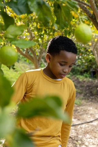 African american boy standing among fruit trees wearing yellow shirt in sunlit orchard