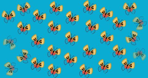 Vibrant Butterfly Pattern on Blue