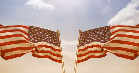 Symmetrical american flags with martin luther king day celebration