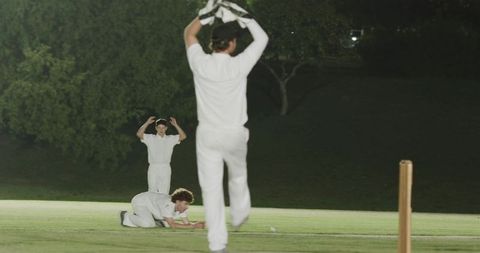 Diverse male cricketers diving and appealing under floodlights on night cricket pitch