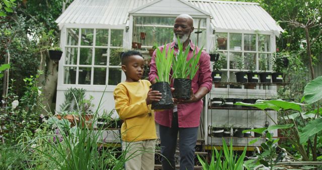 Grandfather and Grandson Gardening Together in Backyard Greenhouse - Download Free Stock Images Pikwizard.com