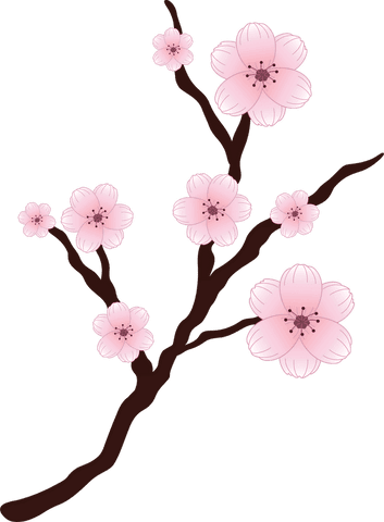 transparent spring cherry blossom branch illustration with pink flowers - Download Free Stock Videos Pikwizard.com