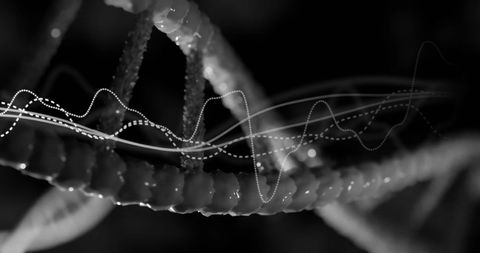 Abstract DNA Strand with Digital Waves in Science Interface