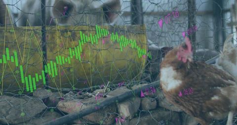Digital Financial Graphics Overlay on Farm Livestock - Download Free Stock Images Pikwizard.com