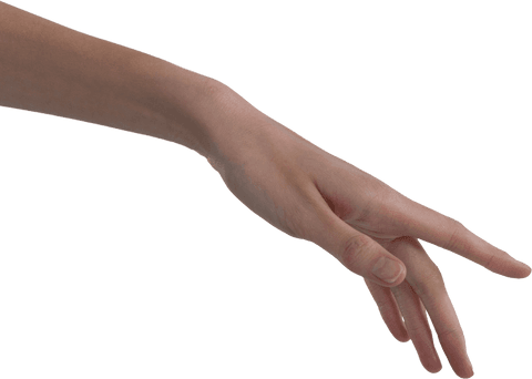 Transparent Relaxed Female Hand Gesture on White Background - Download Free Stock Videos Pikwizard.com
